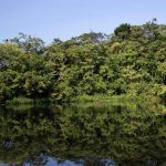 Minatitlán: paisajes y naturaleza