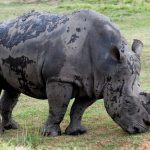 Reserva Ecológica Yumka’