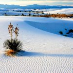 Dunas de Yeso en Cuatro Ciénegas