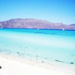 Explorando las Islas Coronado