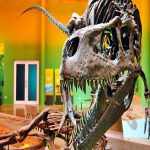 Museo del Desierto