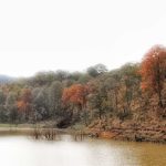 Sierra Fría de Aguascalientes, escenario perfecto para la aventura