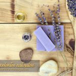 Repelentes naturales contra insectos