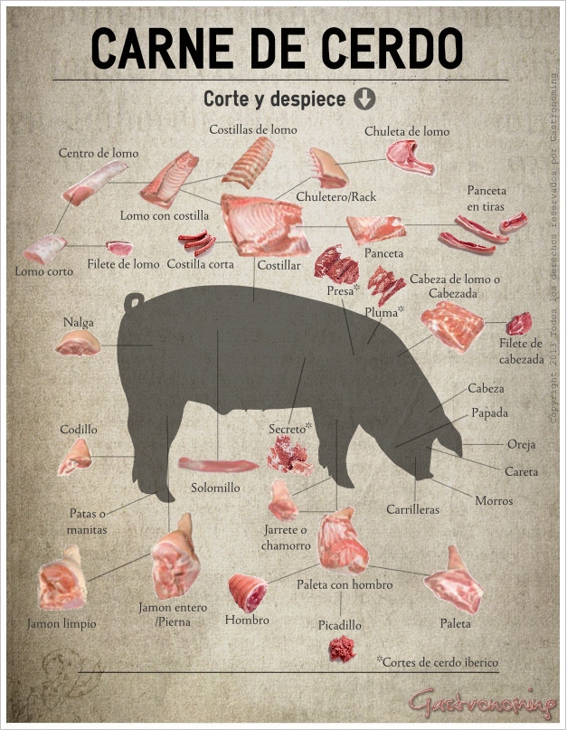 cerdo_corte_infografia