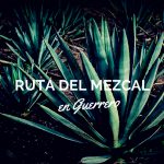 Recorre la ruta del mezcal en Guerrero