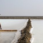 3 documentales relacionados con la cultura alimentaria en DocsDF 2014