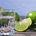 Segundo Festival del Tequila, del Mezcal y Destilados de Agave en Guanajuato