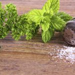 Cuánta sal debemos consumir a diario