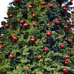 La Navidad llegó a Hidalgo