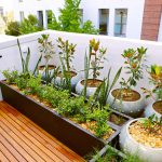 Taller de agricultura urbana en el Centro Cultural Universitario Tlatelolco