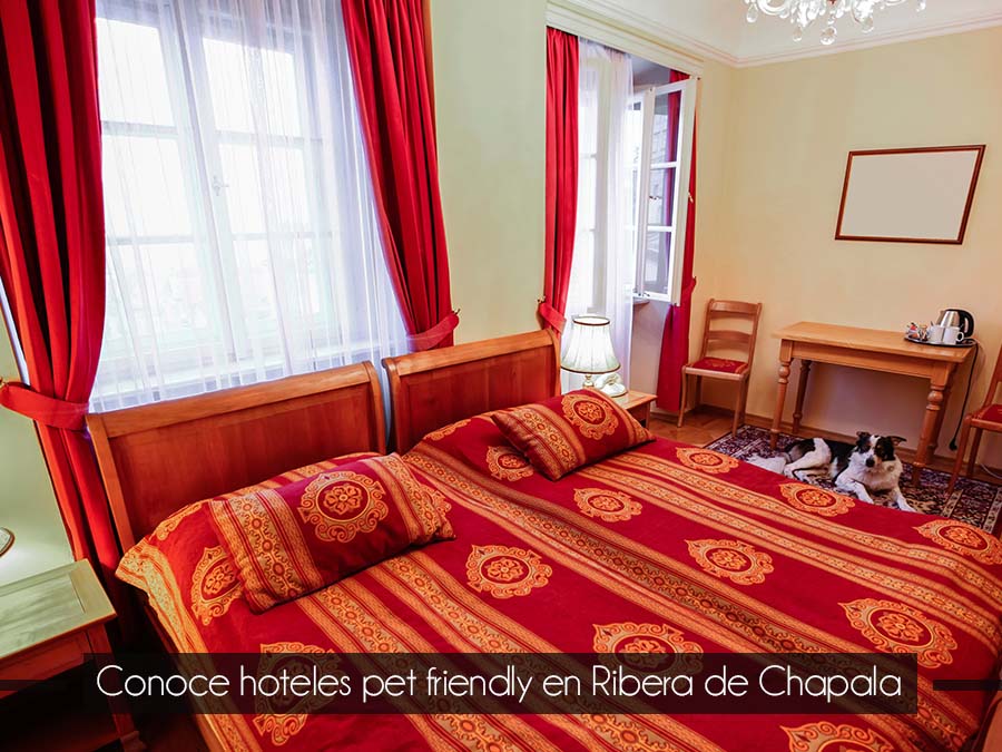 Hoteles “pet friendly” en Chapala