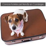 Hoteles “pet friendly” en Costalegre