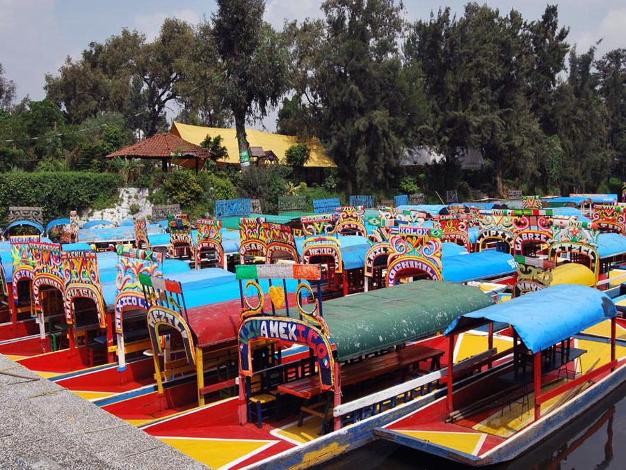Aventura, entre chinampas y flores con Tour DF