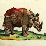 1er. Encuentro Nacional de Ilustradores Científicos y de la Naturaleza