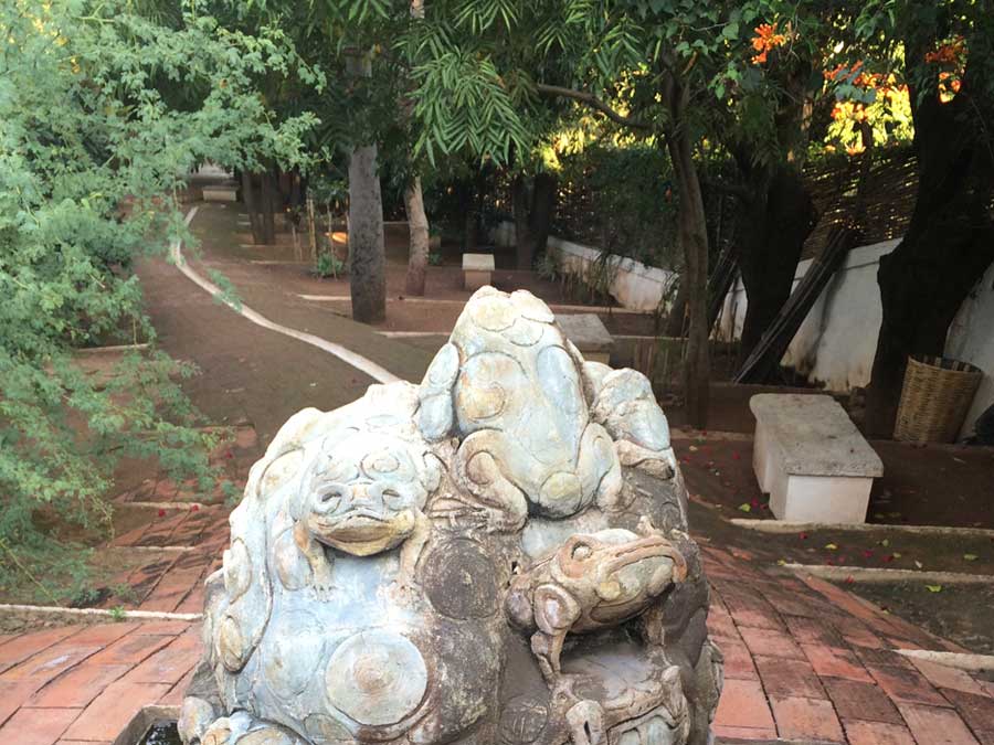 Fuente de sapos en la Biblioteca Infantil de Oaxaca Foto: Mariana Castillo
