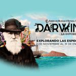 Exposición de Darwin en el Museo Trompo Mágico