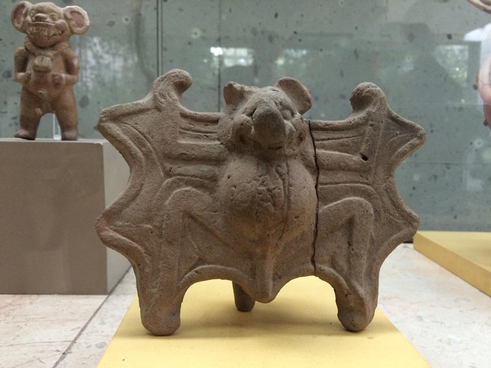 Pieza de murciélago en el Museo de Antropología de Xalapa Foto: Mariana Castillo
