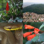 Aventura nocturna en Xalapa