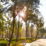 Parques perfectos para el romance en la Ciudad de México