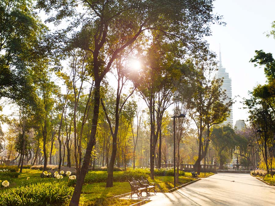 Parques perfectos para el romance en la Ciudad de México