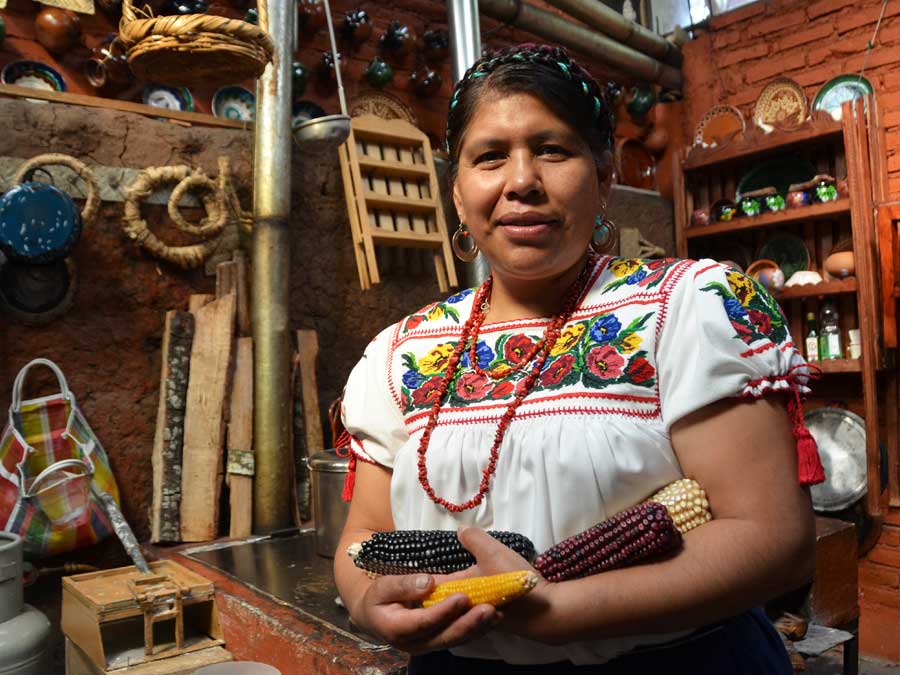 Cocineras tradicionales y COVID- 19: Rosalba Morales Bartolo, cocinera michoacana