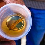 2do Festival Gastronómico, Pulque y Mezcal más Cerveza Artesanal