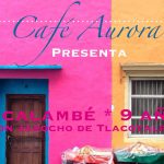 Son jarocho de Tlacotalpan en la colonia Portales