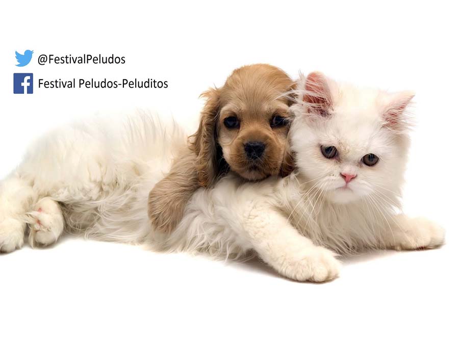 imageapp peludos-peluditos-cdmx