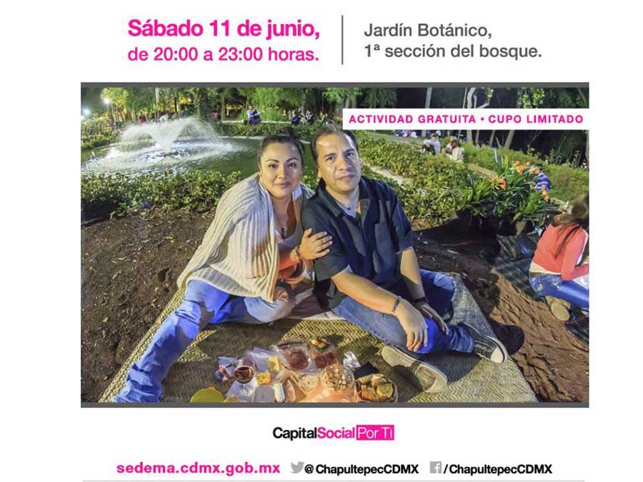 Listos para el picnic nocturno del Bosque de Chapultepec