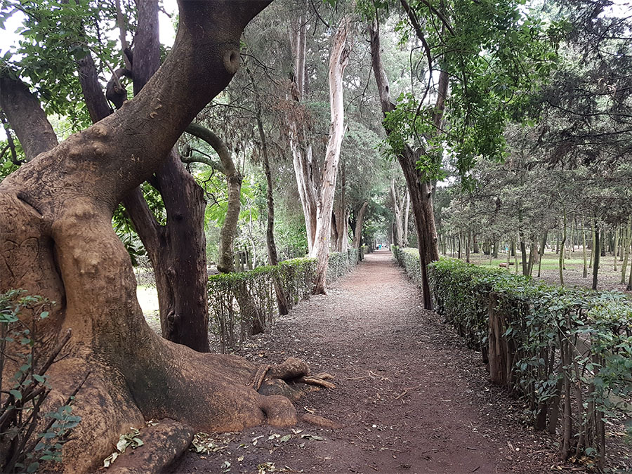 900x675_0001_viveros1