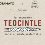 Teocintle, encuentro sobre agricultura y alimentación en el Museo Tamayo