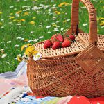 Picnic vegano en Parque Bicentenario