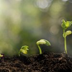 ¿Qué es la responsabilidad social para tu empresa?