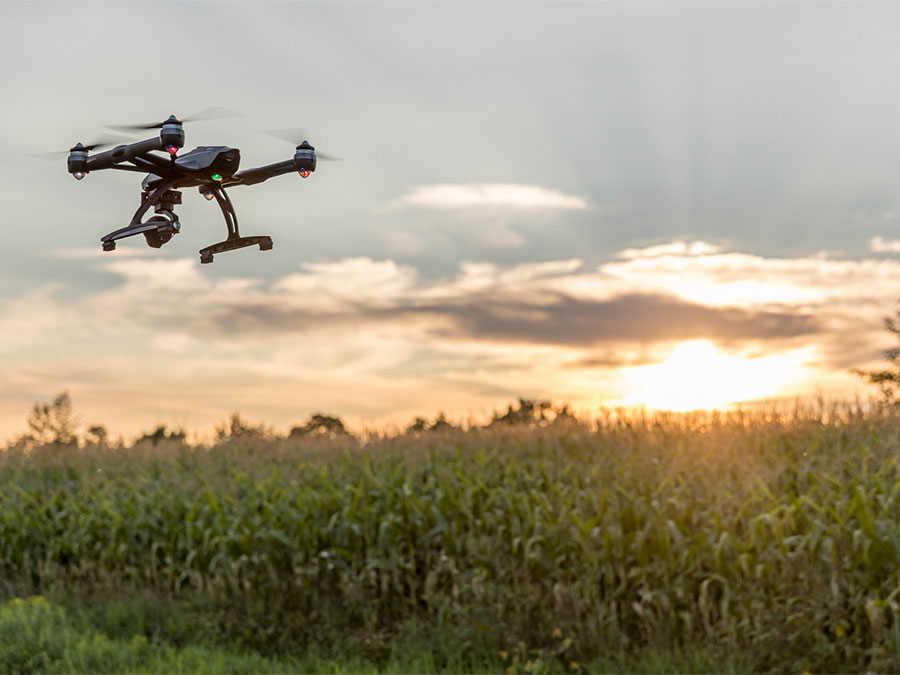 El uso de drones, ¿podría fracasar en el campo mexicano?