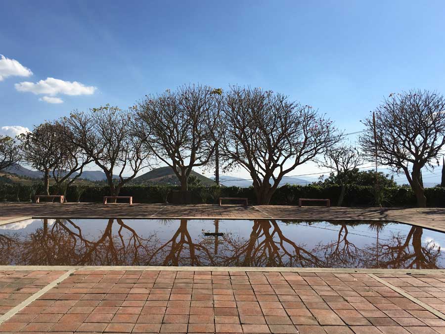 Centro de las Artes de San Agustín, ecología y arte van de la mano: Actividades en Oaxaca por si vas a la Guelaguetza 2018 Foto: Mariana Castillo
