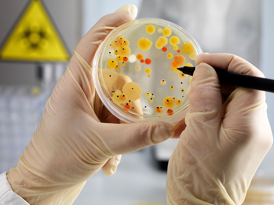 Estas son las 12 bacterias más peligrosas para los humanos