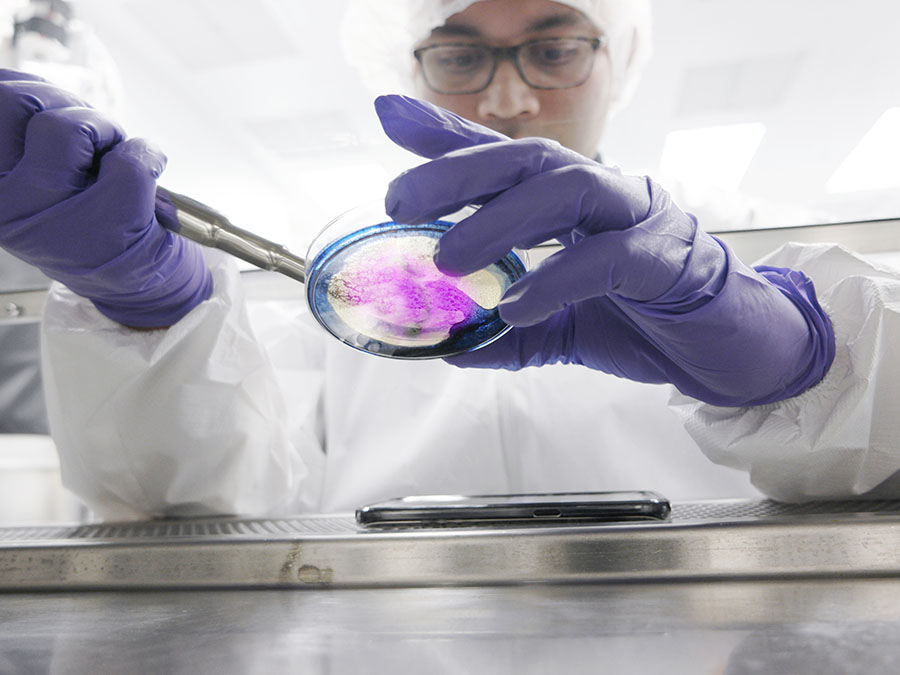 bacterias más peligrosas