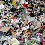 4 alternativas para el manejo de residuos que debes conocer