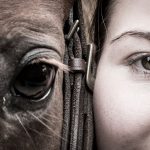 Terapia con caballos ¿qué beneficios tiene convivir con estos animales?