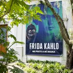 Frida Kahlo: Me pinto a mí misma, ¿por qué visitar la exposición?