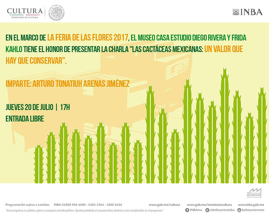 festival de las flores de san ángel 2017