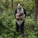 World Press Photo 2017: 4 razones para no perderte la exposición