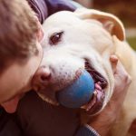 7 preguntas a Kmimos, red de personas que cuidan perros en sus propias casas