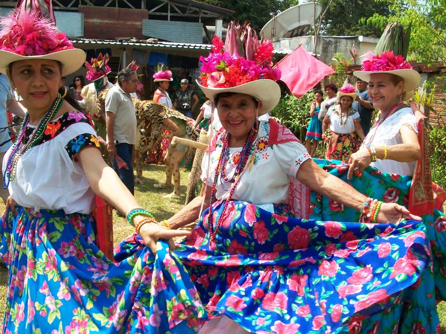 En este baile hay tres personajes principales: pochoveras, cojóes y tigres. Las pochoveras son mujeres, por lo general de avanzada edad, que visten camisa con tira a la usanza maya, una falda amplia y larga de colores brillantes, un paliacate rojo y un sombrero de palma adornado con flores tropicales. No dicen nada durante el baile, solo acompañan y sonríen. Foto: danzapocho.blogspot.mx