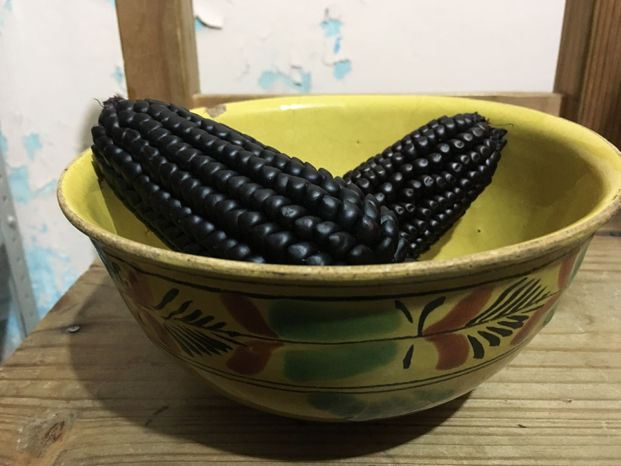 Maíz morado. Con esta variedad y piloncillo se elabora una bebida llamada atole agrio. Hace años se servía en cajetes como tazones. Ahora sigue llevando "pintura" (ceniza) encima y ayocotes. Beberlo es un lujo compartido y este me lo sirvió la familia comandada por la matriarca Juana Márquez Solís, quienes cultivan, cosechan y cuidan sus maíces nativos (y además, cocinan maravillas de su cultura alimentaria). Foto: Mariana Castillo