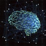 Para comprender el funcionamiento del cerebro humano: BRAIN