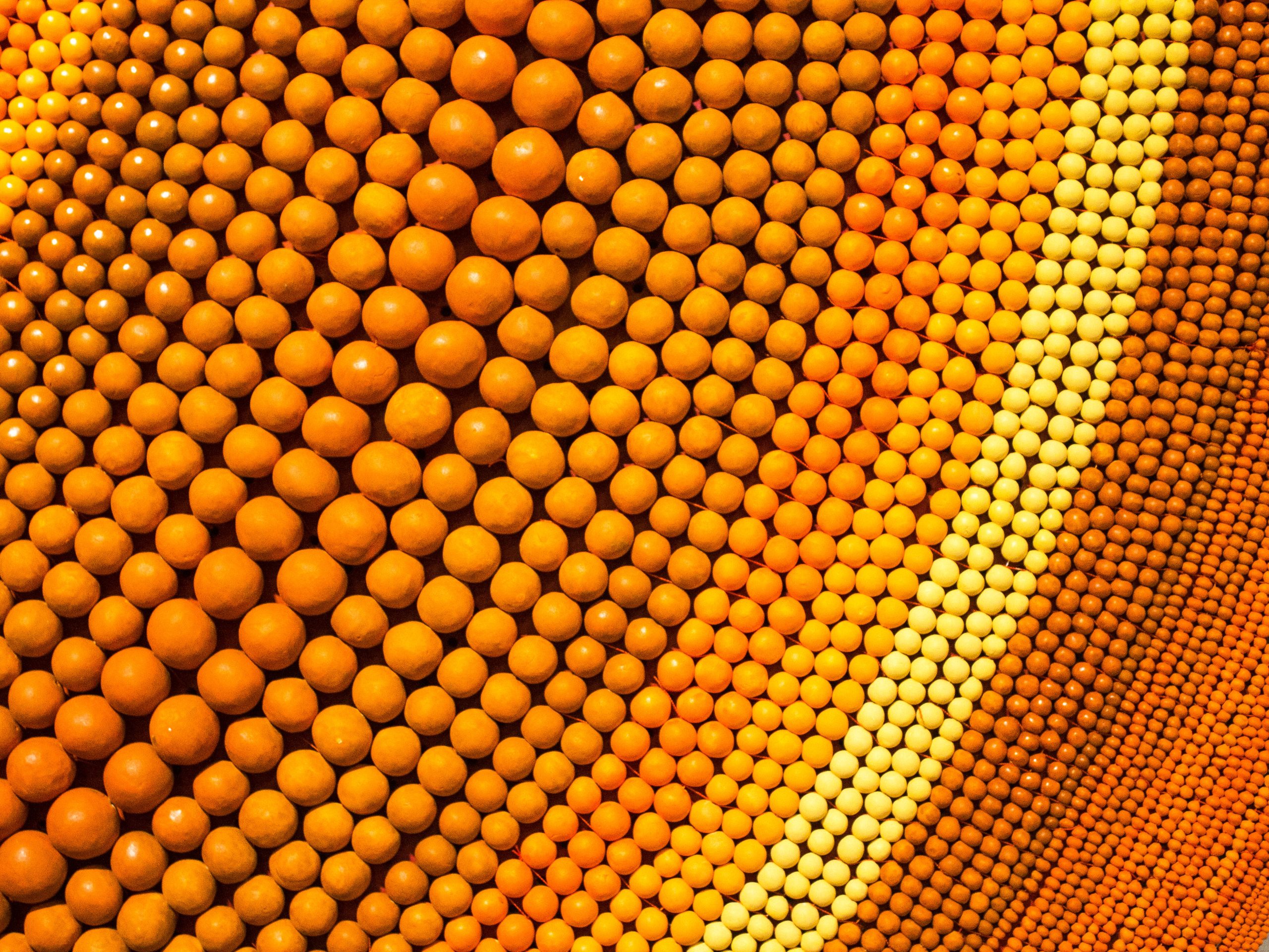Arte/sano: obras que unen el talento de artesanos, artistas visuales y diseñadores industriales