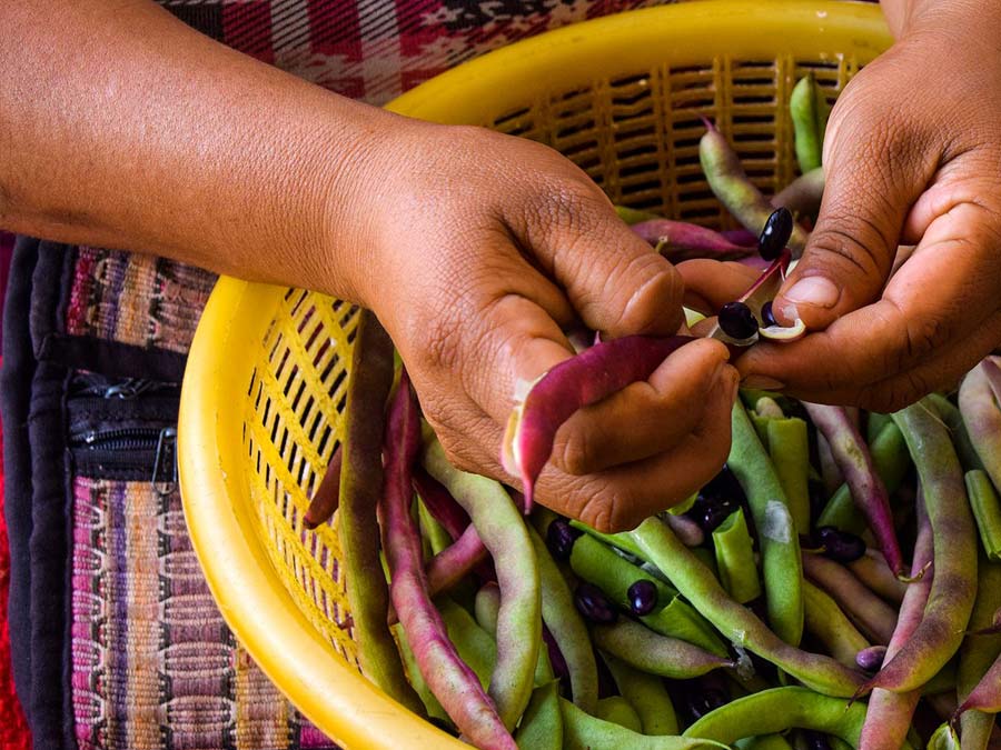 1er. Encuentro Internacional de Cocineras Tradicionales del Mundo Maya
