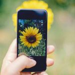 Naturalista, la red social para aprender sobre plantas y animales de México