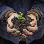 3 beneficios de la reforestación que quizá no conocías